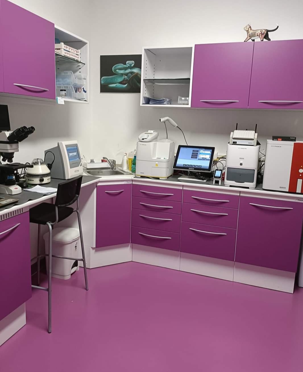 laboratorio analisi veterinarie